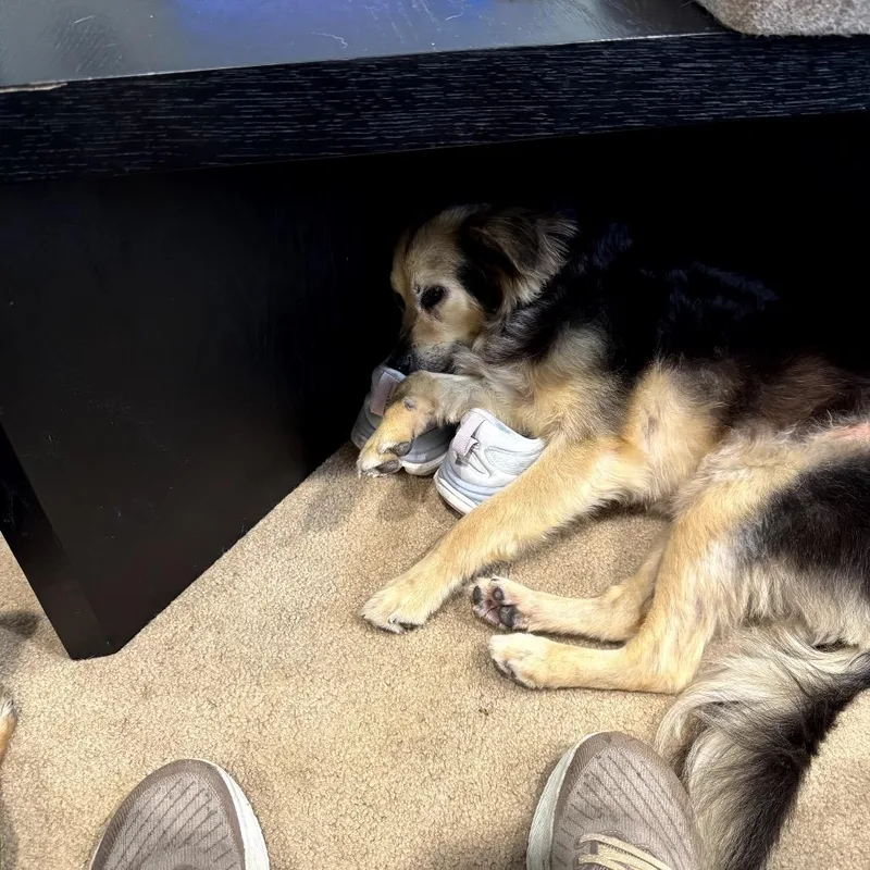 Mugsy thumbnail 3