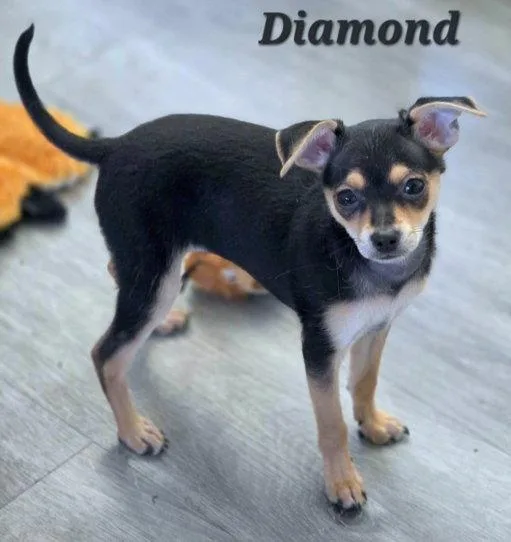Diamond thumbnail 3