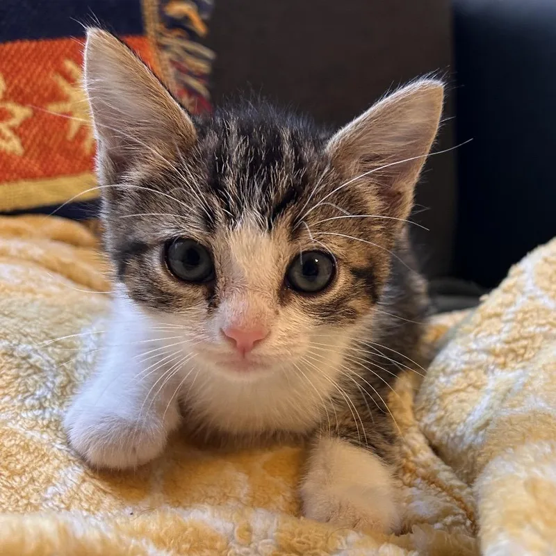 Grounds Keeper thumbnail 2