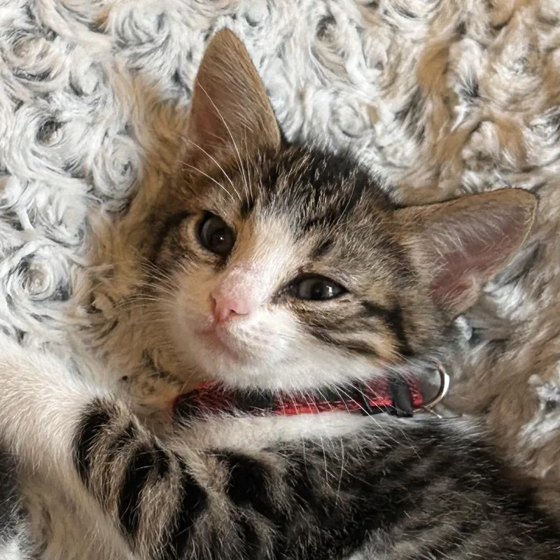 Grounds Keeper thumbnail 3