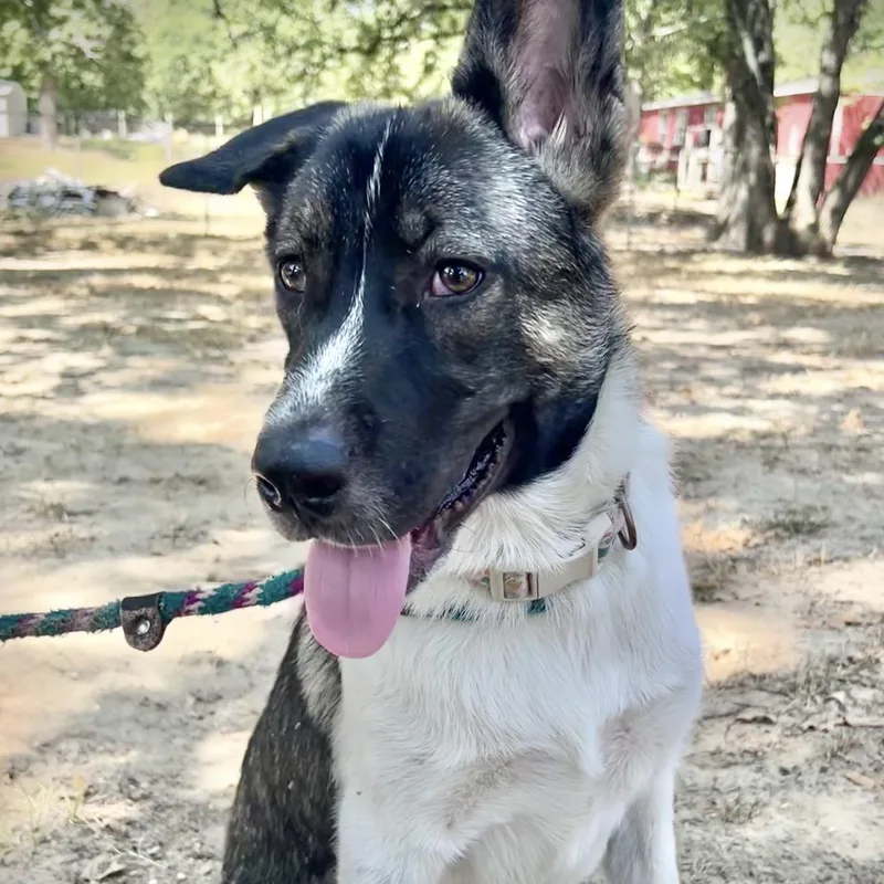 Lucky thumbnail 6