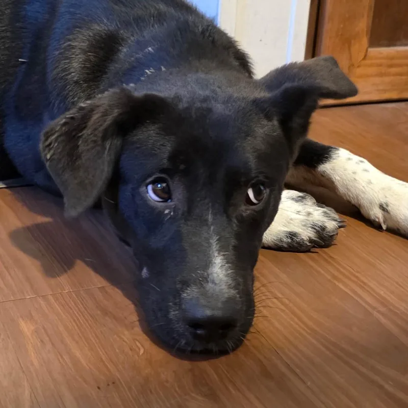 Missy thumbnail 3