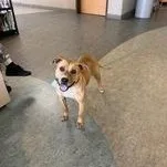 Charlotta thumbnail 2