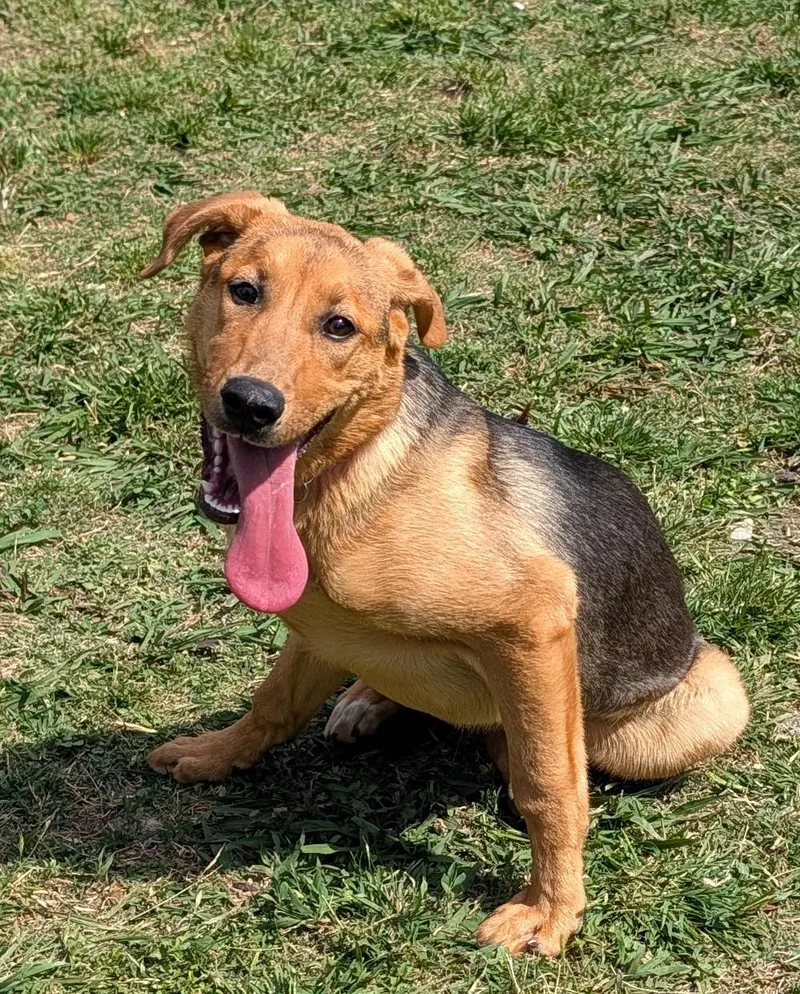 Bubbles A thumbnail 2