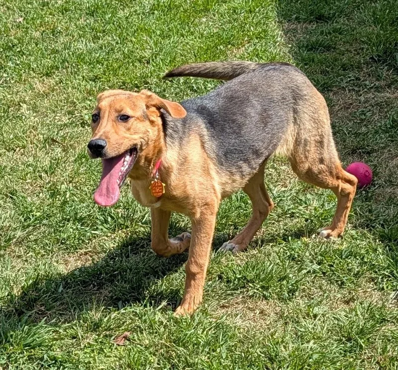 Bubbles A thumbnail 3