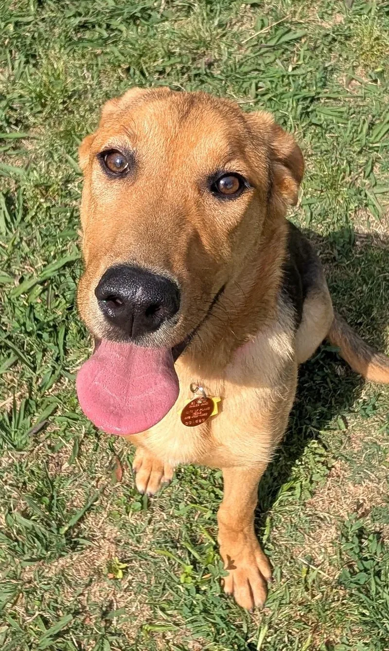 Bubbles A thumbnail 4