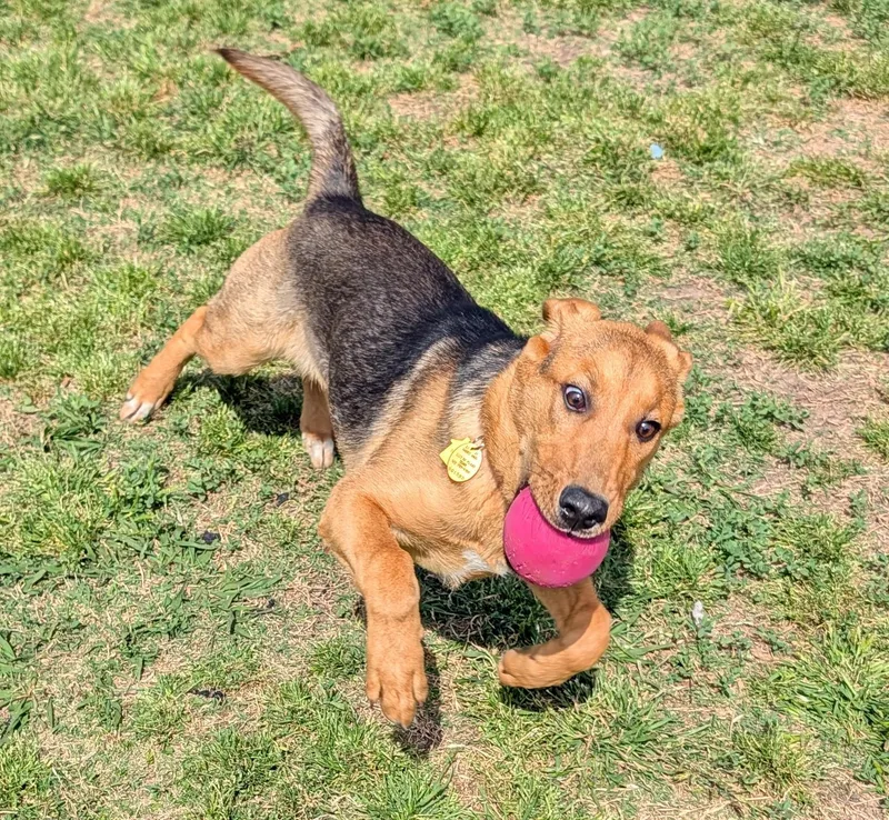 Bubbles A thumbnail 5