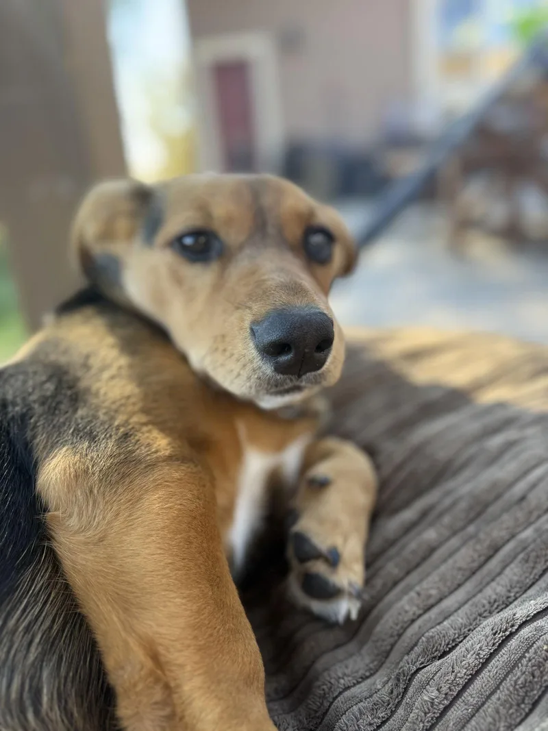 Bubbles Because Of Her