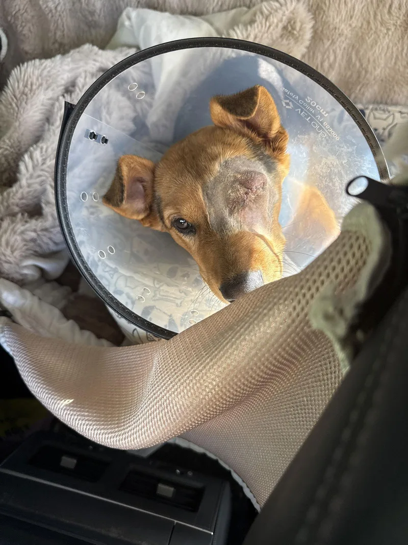 Bubbles Because Of Her thumbnail 2