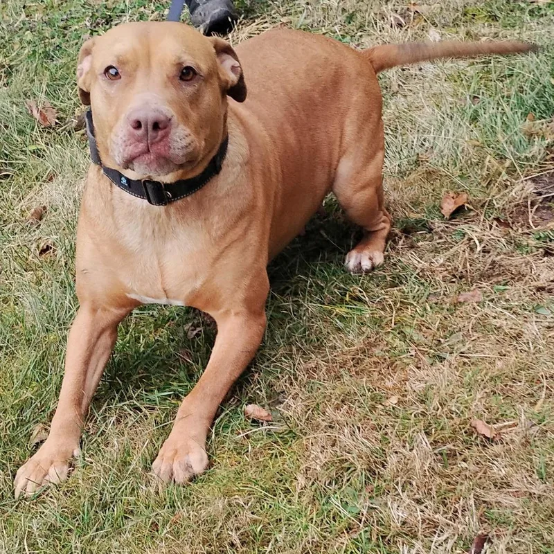 Blessyin thumbnail 2