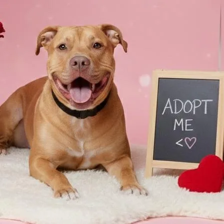 Blessyin thumbnail 3