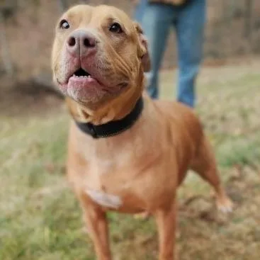 Blessyin thumbnail 4