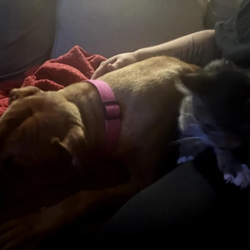 Blessyin thumbnail 5