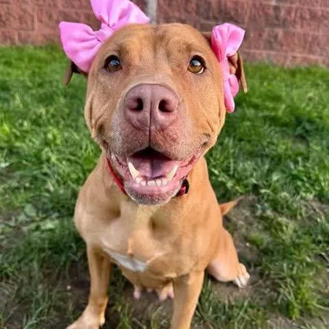 Blessyin thumbnail 6