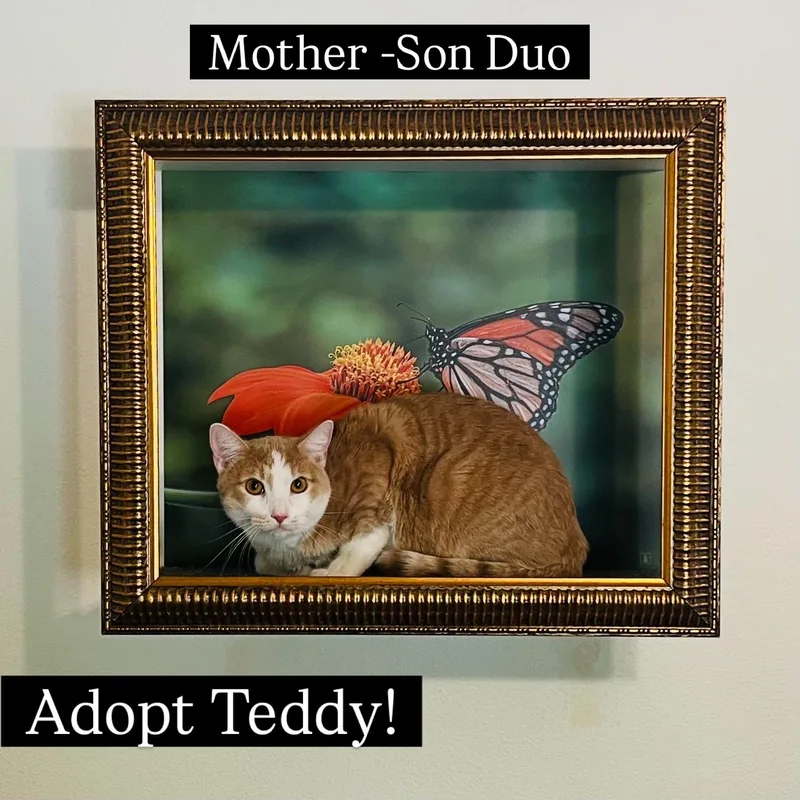 Ashley & Teddy thumbnail 2