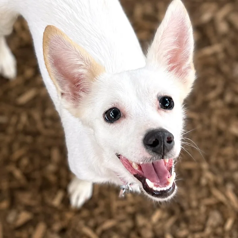 Whitney thumbnail 4