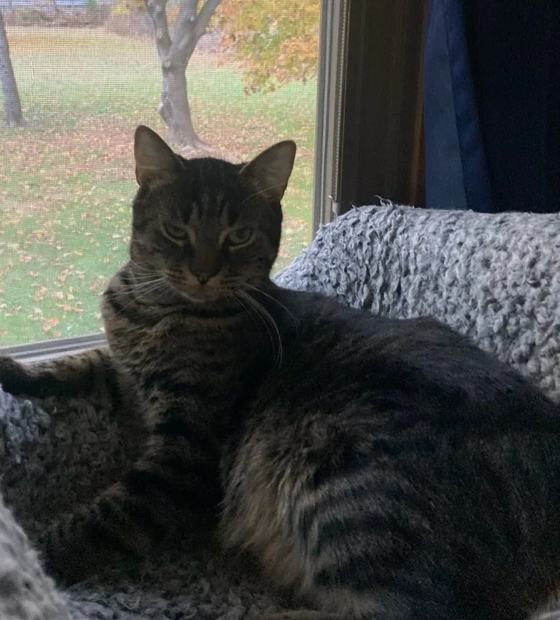 The Maxes thumbnail 2