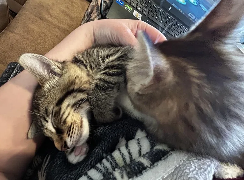 Sarah thumbnail 3