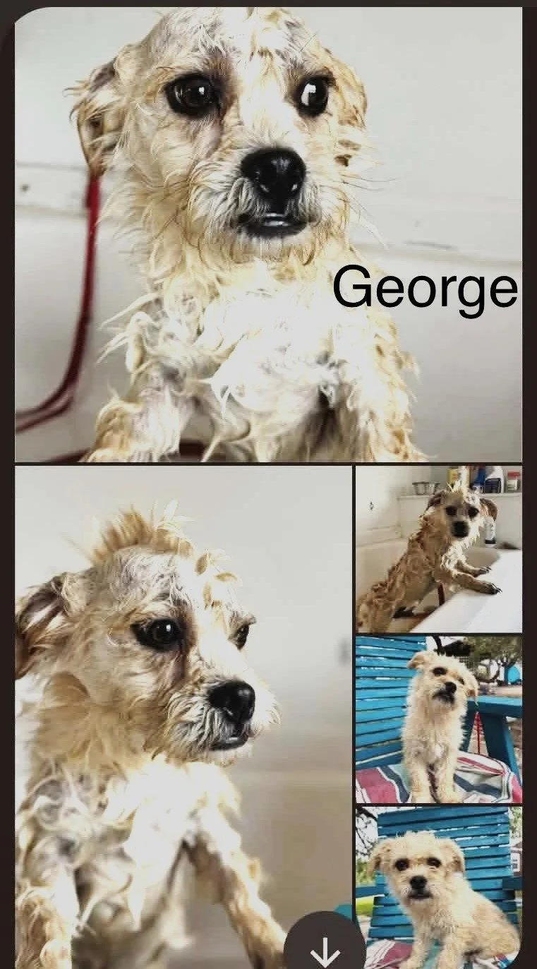 George Jb In Tx thumbnail 3