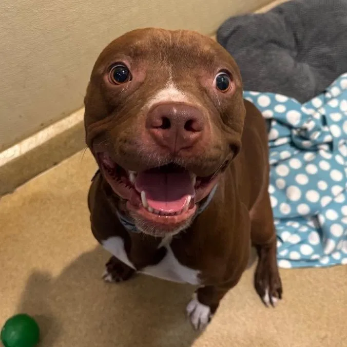 Enzocity Of Industry thumbnail 2