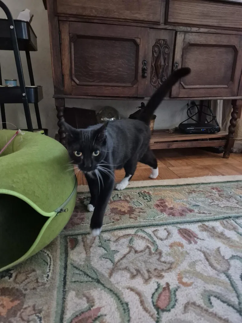 Fernando thumbnail 2