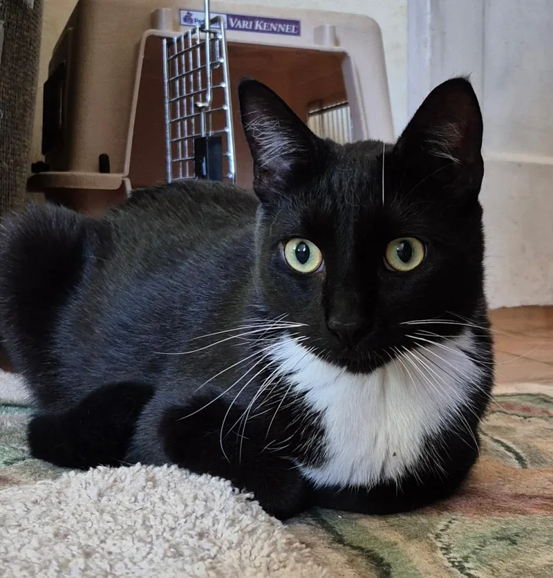 Fernando thumbnail 5