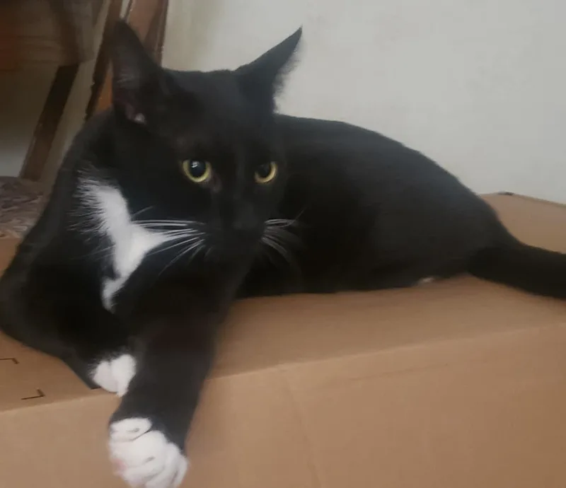 Fernando thumbnail 6