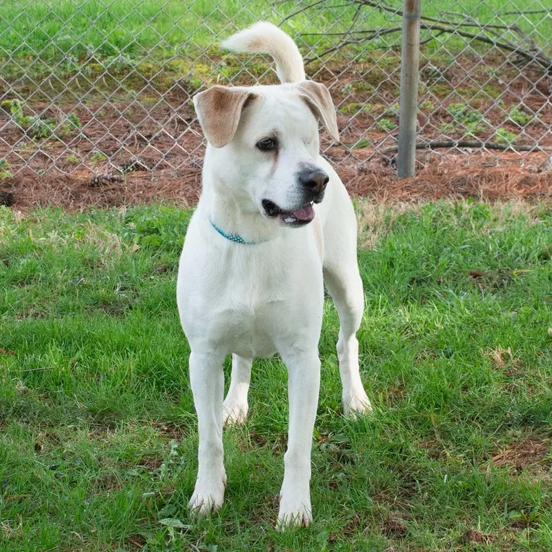 Jack thumbnail 2