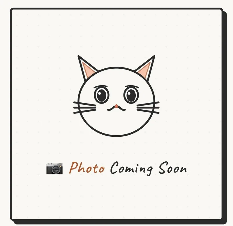 A young medium-sized female Torbie cat named Atlas  aka Atti for adoption in Gladstone, OR