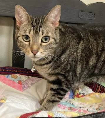 Jiji Ren thumbnail 5