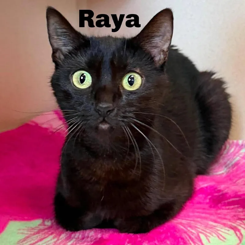 Raya