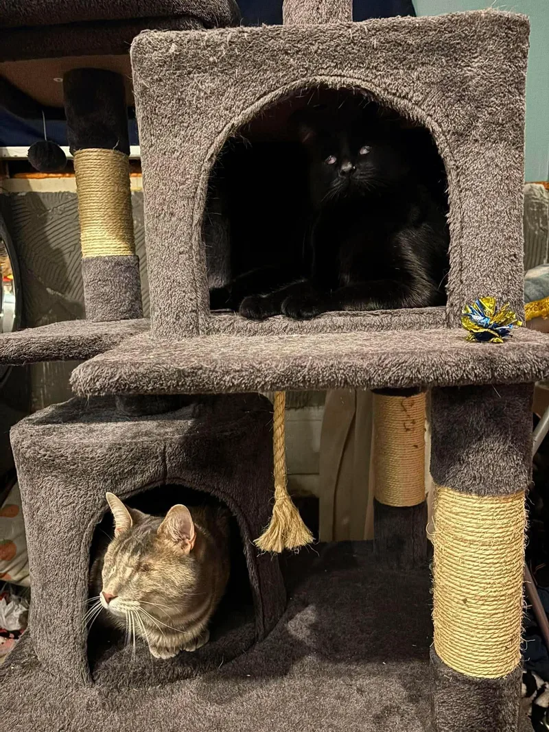 Peach & Kiwi BONDED thumbnail 2