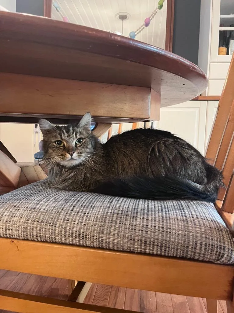 Gemstone thumbnail 2