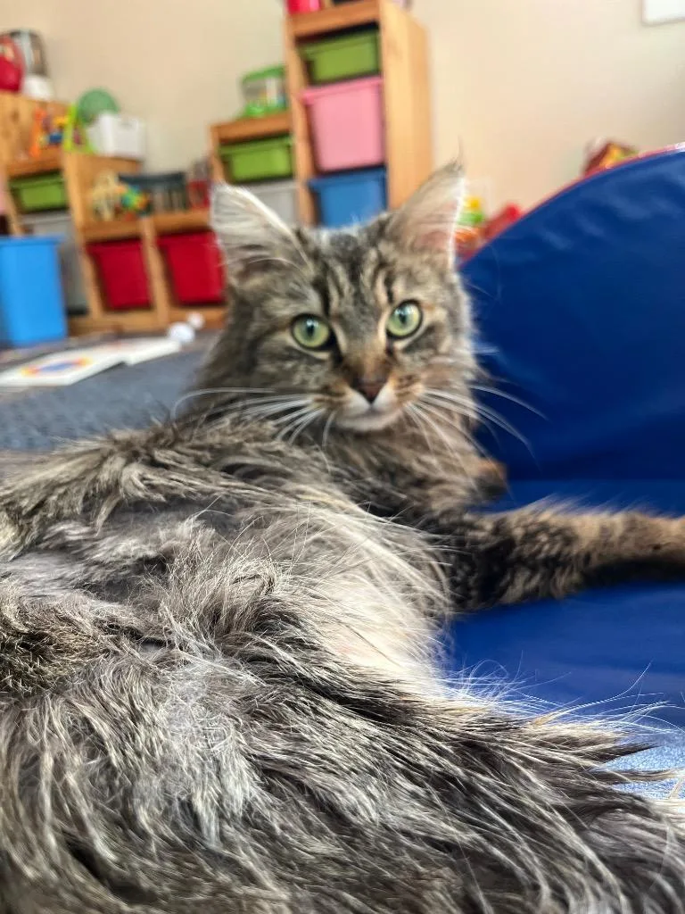 Gemstone thumbnail 3