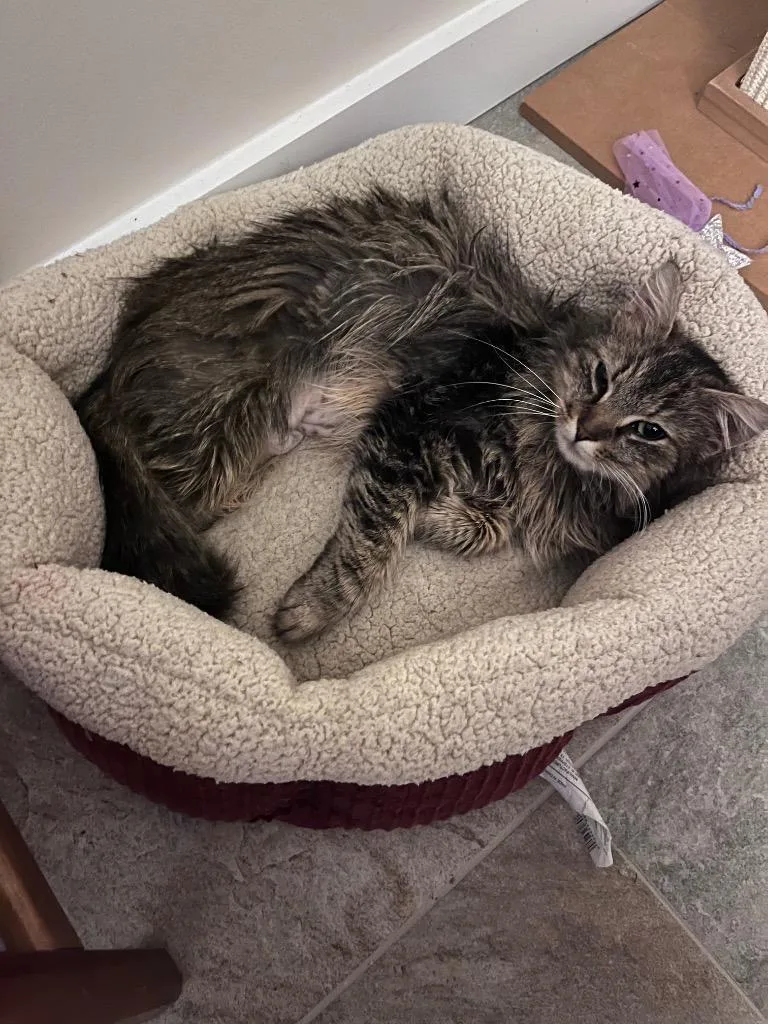 Gemstone thumbnail 4