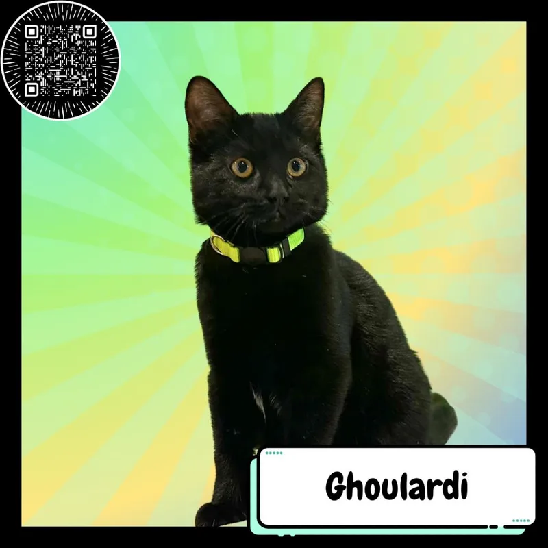 Ghoulardi thumbnail 2