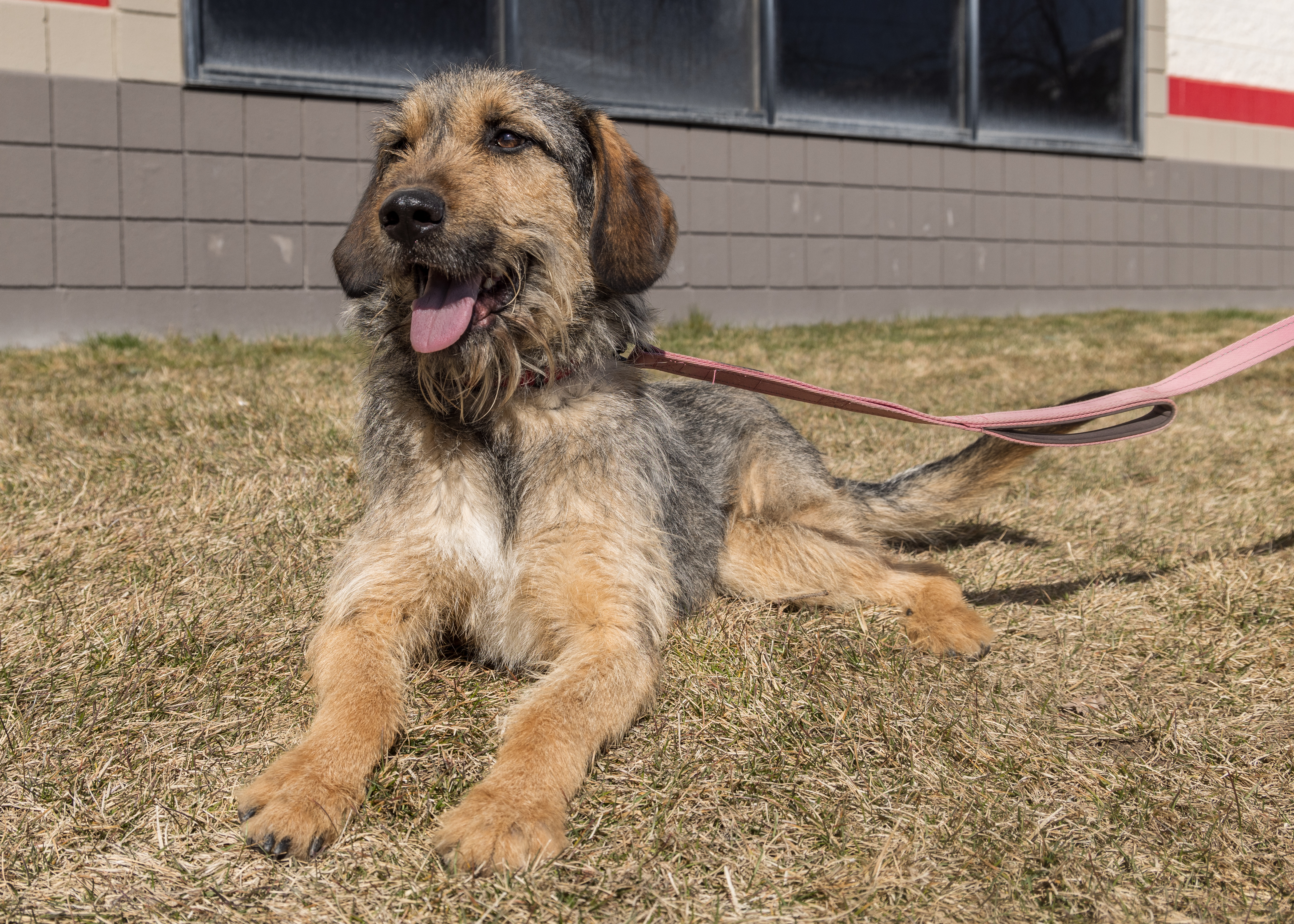 Tommy Boy thumbnail 5