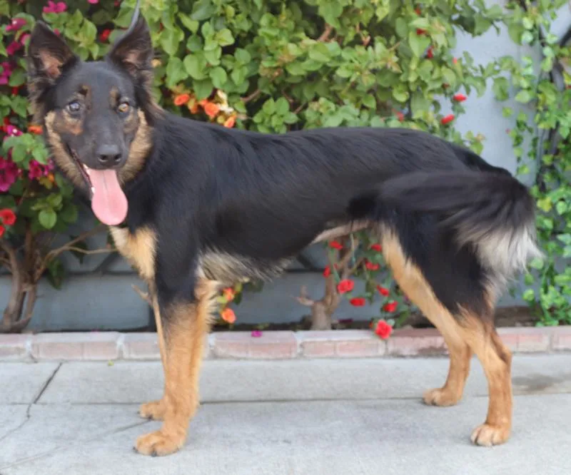 Ruby Von Rastenberg thumbnail 2