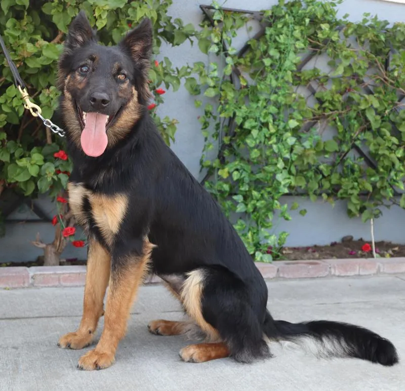 Ruby Von Rastenberg thumbnail 3