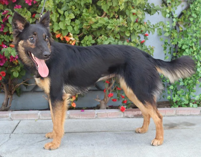 Ruby Von Rastenberg thumbnail 4