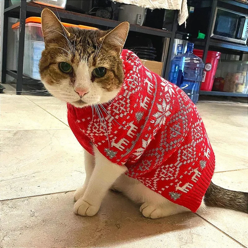 O'malley thumbnail 2