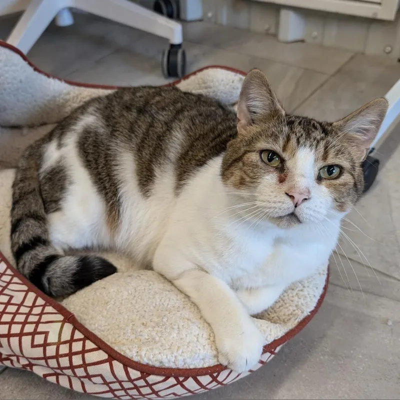 O'malley thumbnail 4