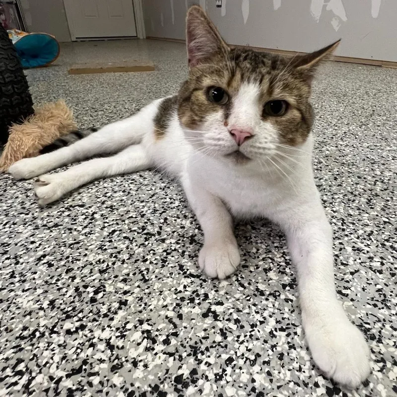 O'malley thumbnail 5