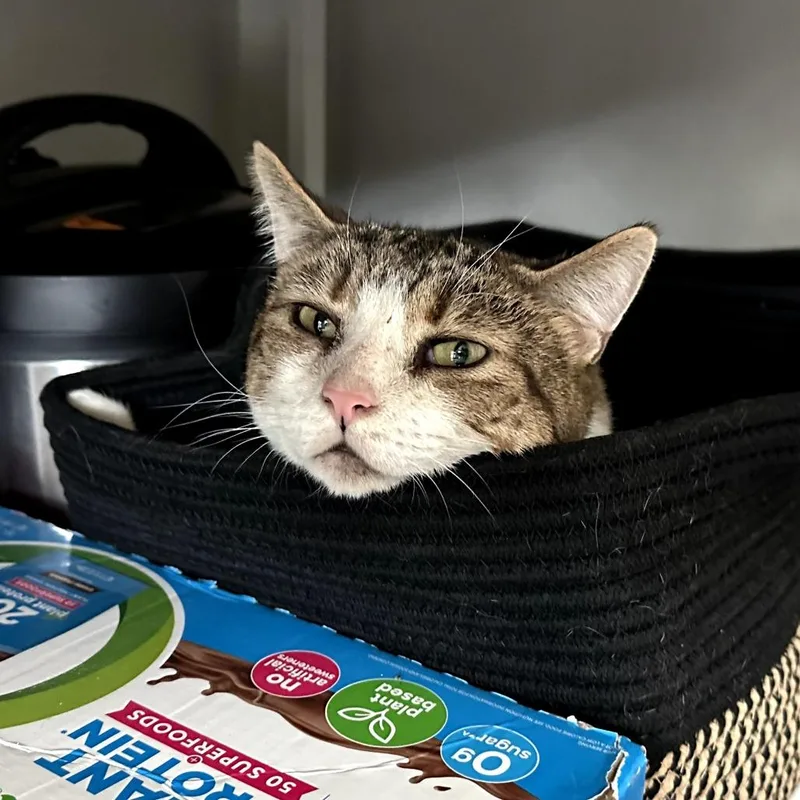 O'malley thumbnail 6