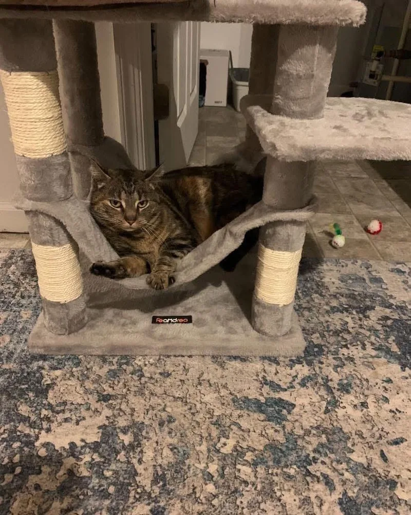 Sunny + Edna thumbnail 2