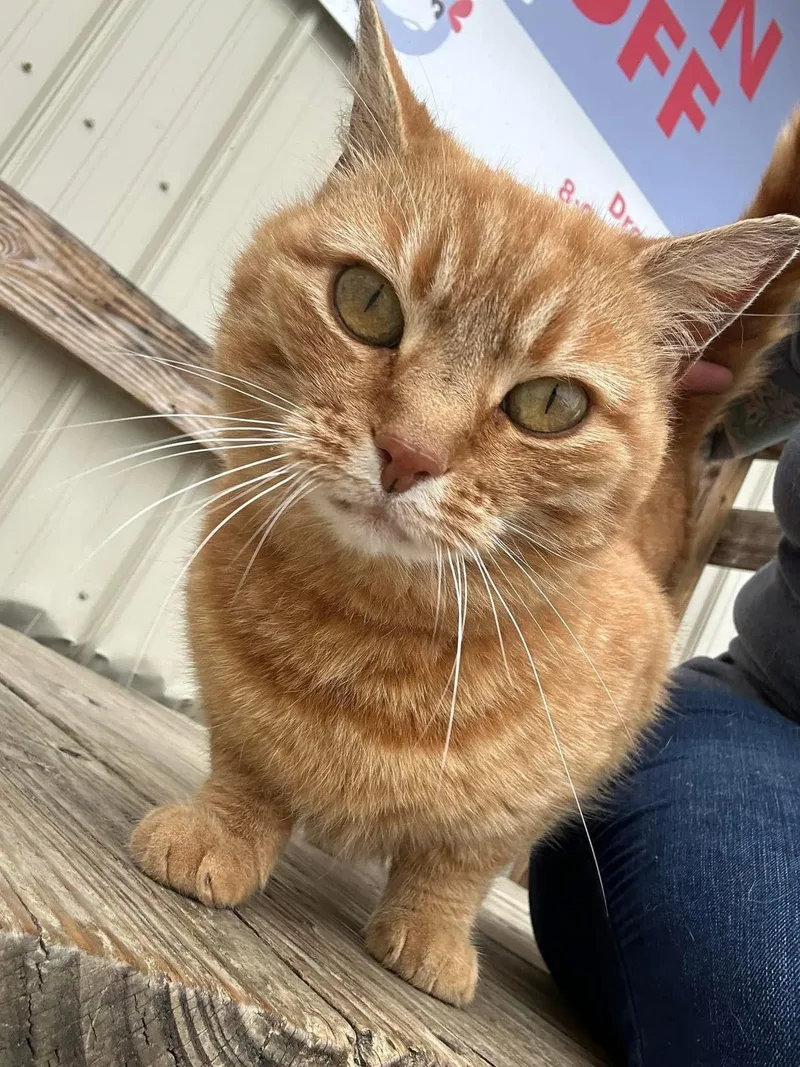 Sunny + Edna thumbnail 3