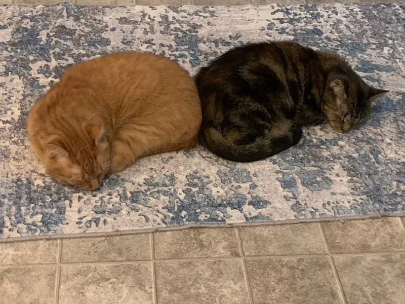 Sunny + Edna thumbnail 4