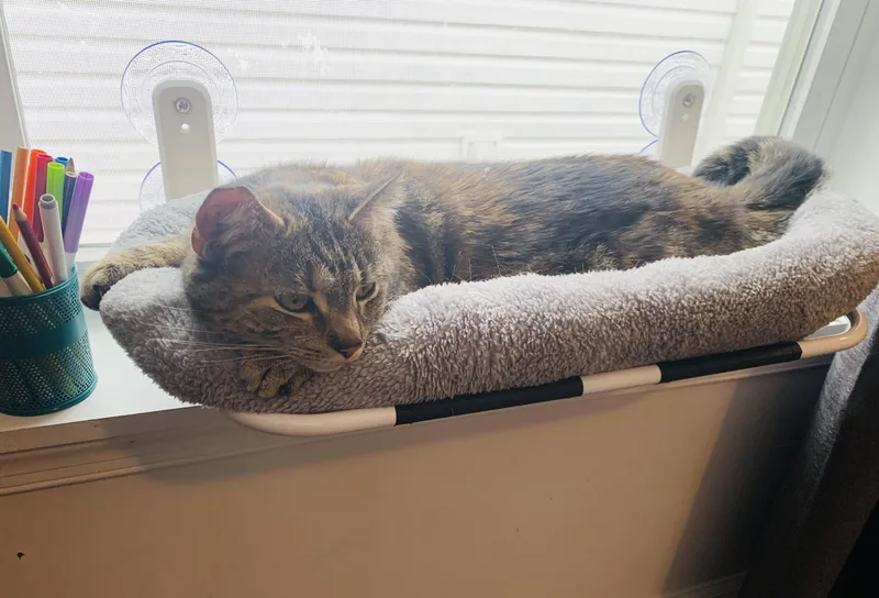 Sunny + Edna thumbnail 5