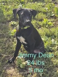 Jimmy Dean thumbnail 3