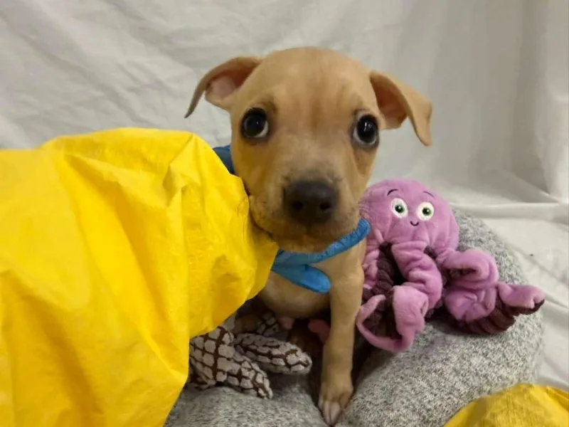 Bob Marley thumbnail 2